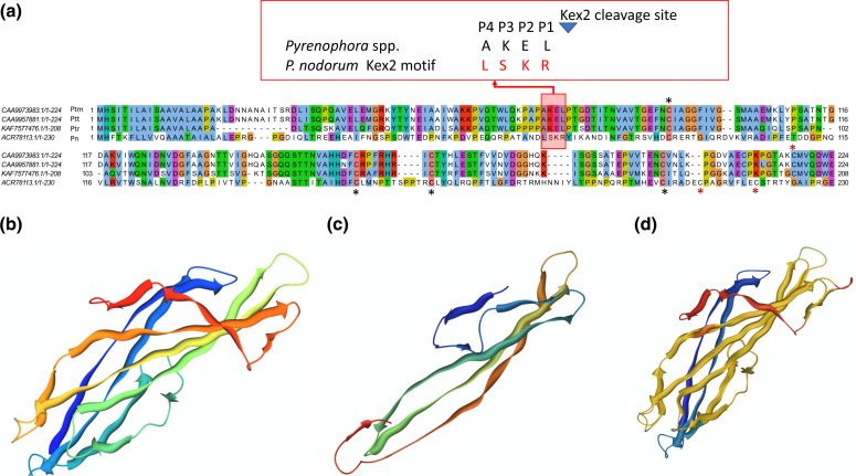 Fig. 4.