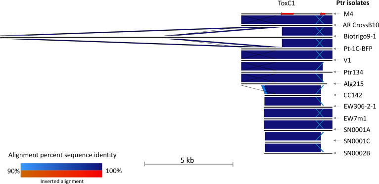 Fig. 3.