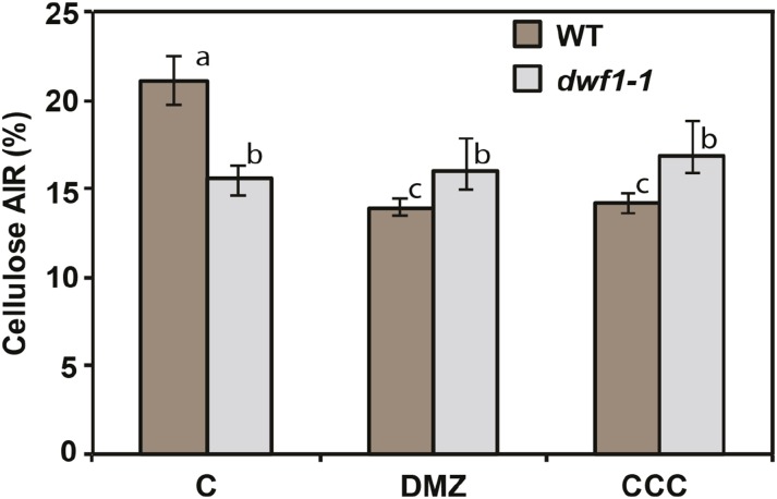 Figure 6.