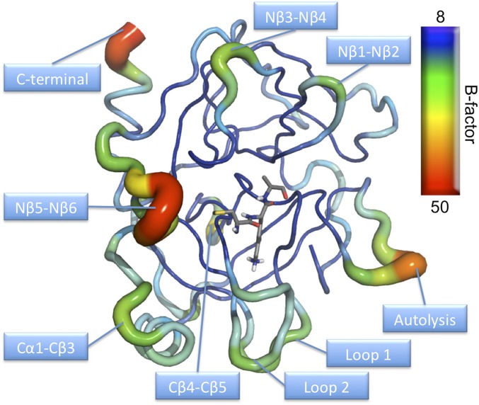 Fig. S1.