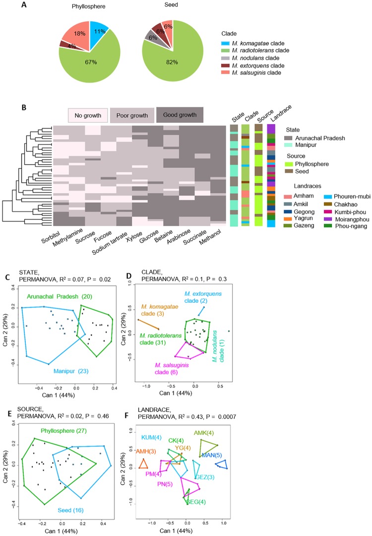 Fig 6