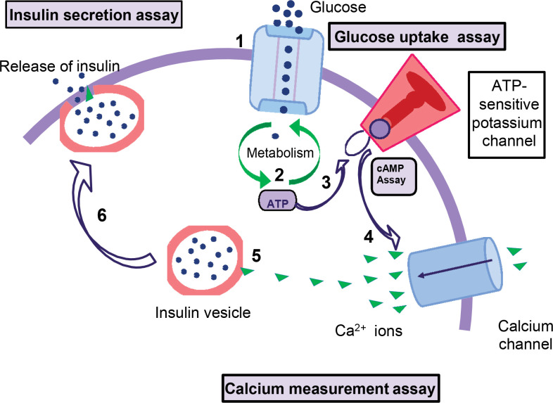 Figure 3.