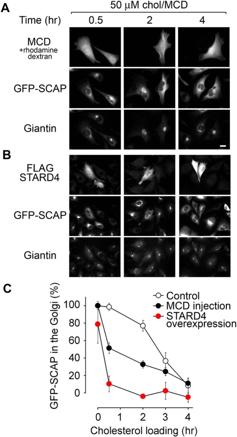 FIGURE 7: