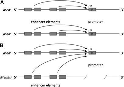 Figure 9—