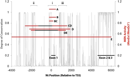 Figure 4—