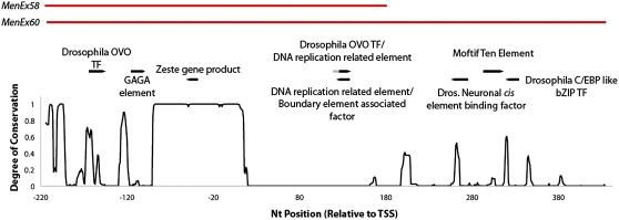 Figure 5—