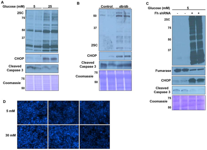 Figure 6: