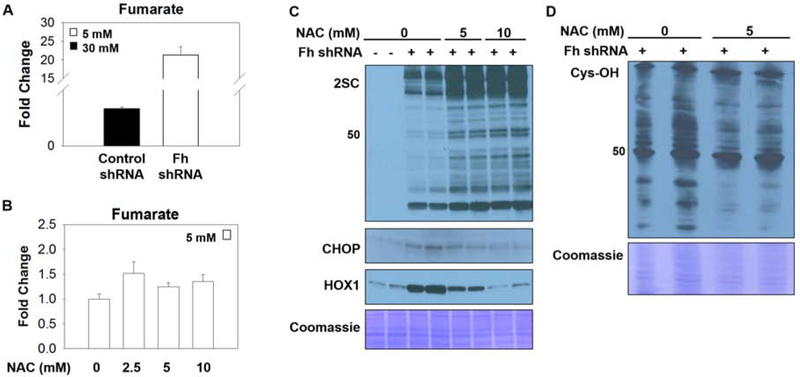 Figure 5: