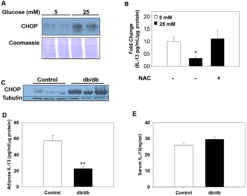 Figure 7: