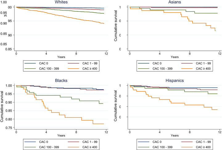 Race/ethnicity-specific Kaplan-Meier curves for cardiovascular disease mortality by CAC group. CAC = coronary artery calcium. (Reprinted, with permission, from reference 7.)