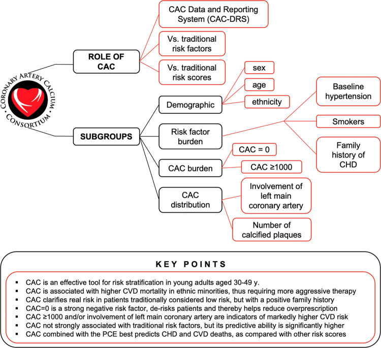 Insights gained and lessons learned from the CAC Consortium by role of CAC and subgroups evaluated. Across a wide spectrum of clinically relevant subgroups, CAC was confirmed as the most sensitive marker for subclinical atherosclerosis and can thus guide the decision-making process toward early intervention and reduction of long-term CHD, CVD, and all-cause mortality. CAC = coronary artery calcium, CHD = coronary heart disease, CVD = cardiovascular disease, PCE = Pooled Cohort Equation, y = years.