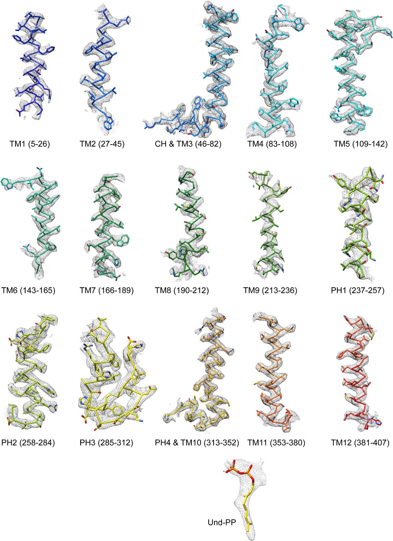 Extended Data Fig. 3 |