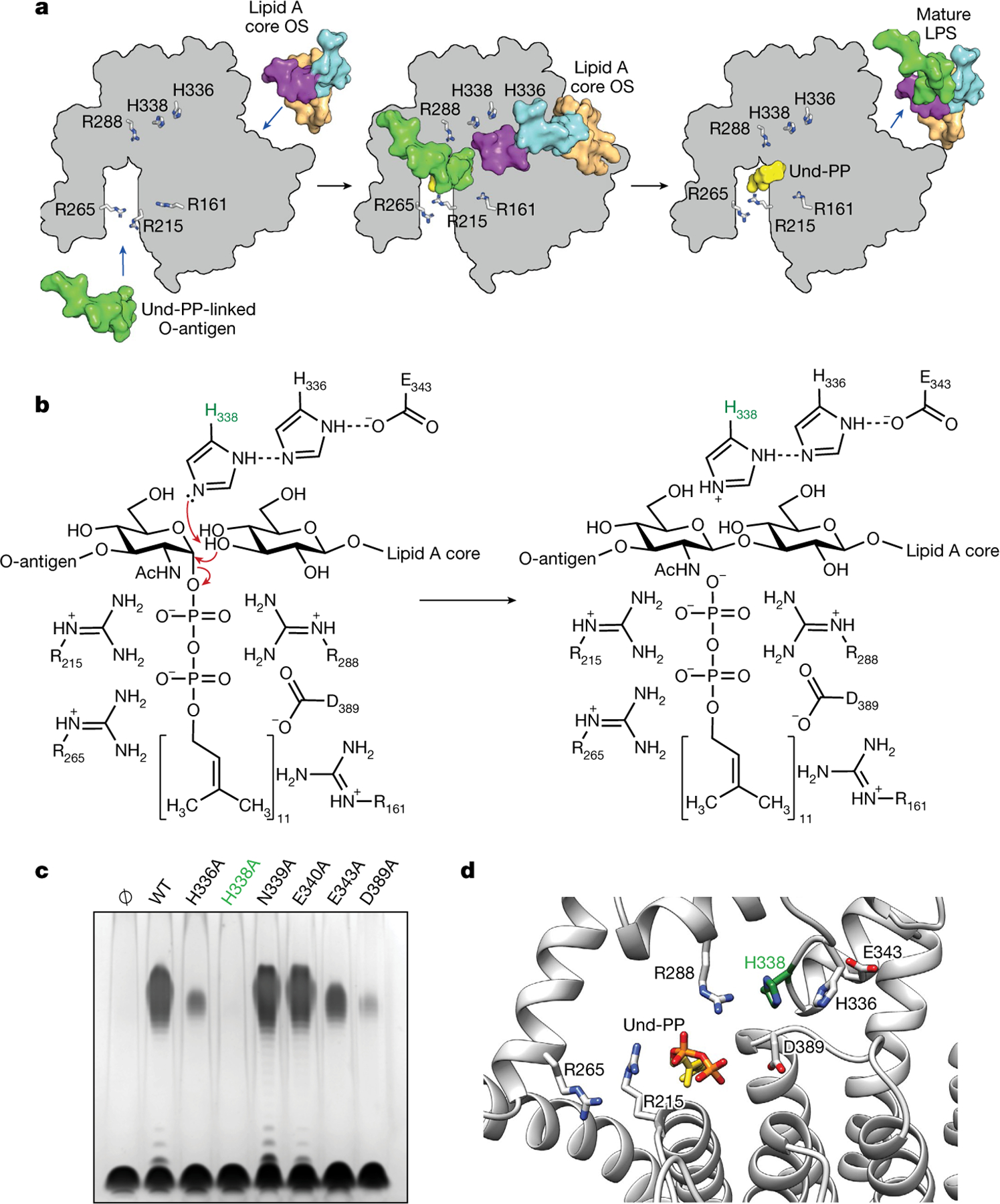 Fig. 4 |