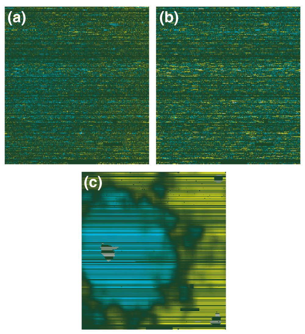 Figure 10