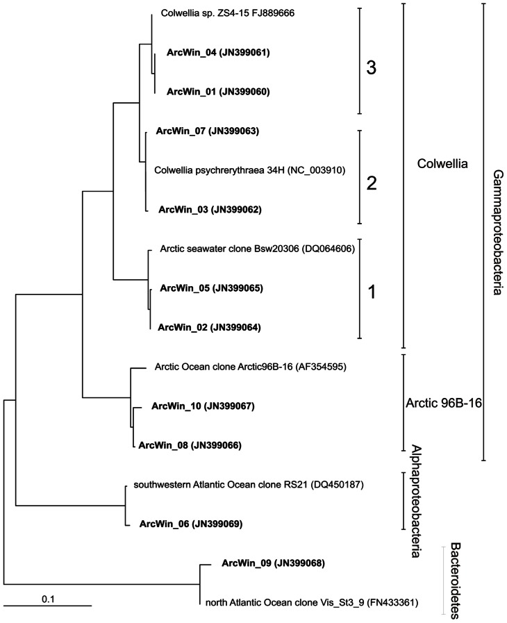 FIGURE 2