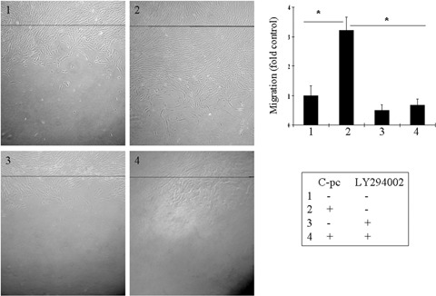 Fig. 11