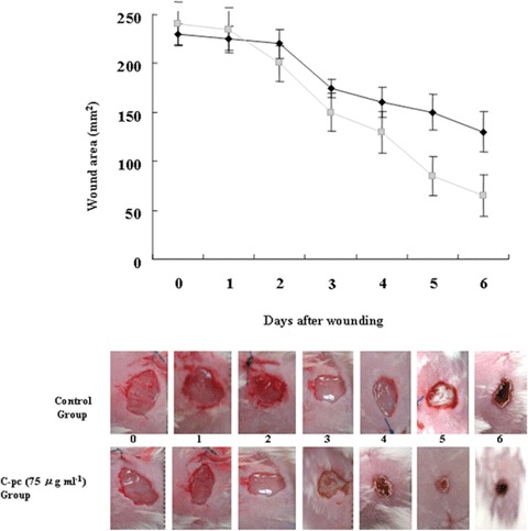 Fig. 12