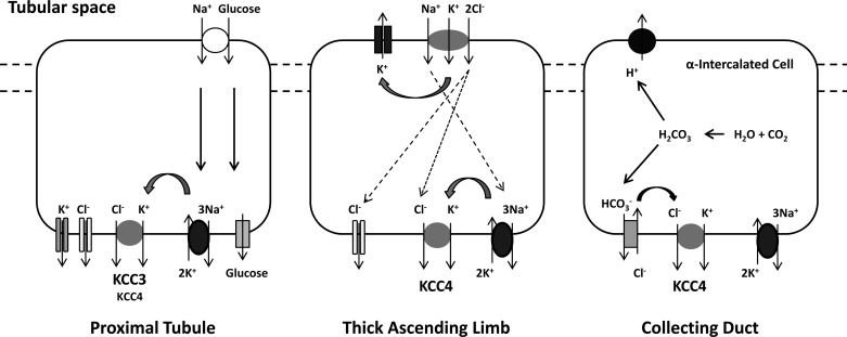 Fig. 10.