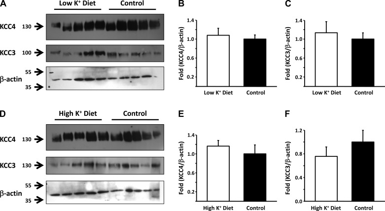 Fig. 9.