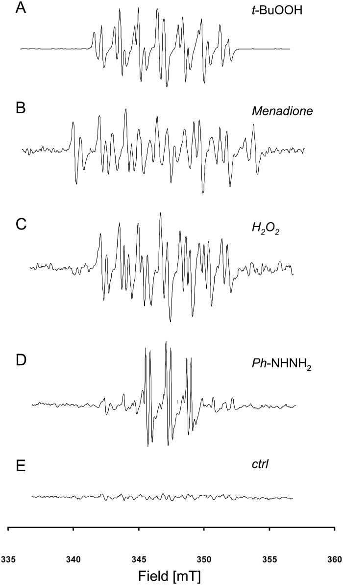 Fig 4