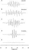 Fig 4