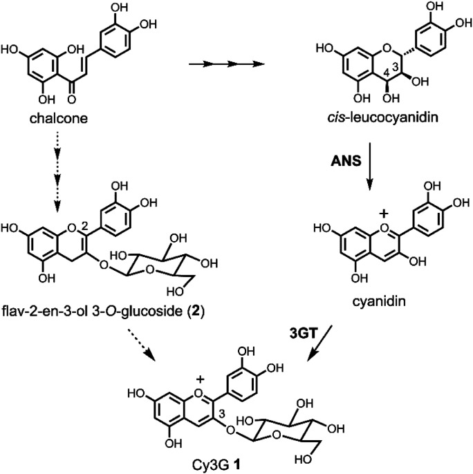 Scheme 1