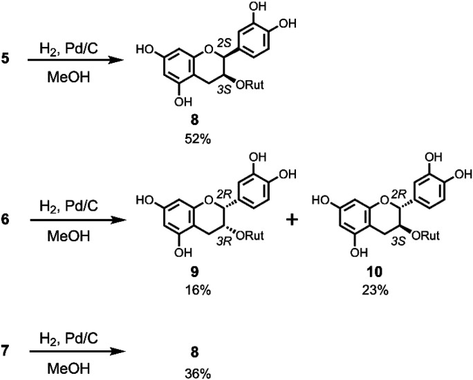 Scheme 3