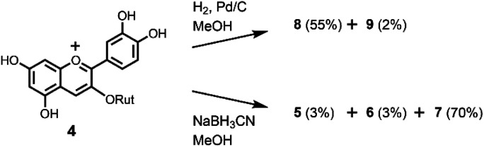 Scheme 4