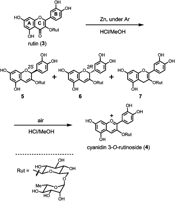 Scheme 2