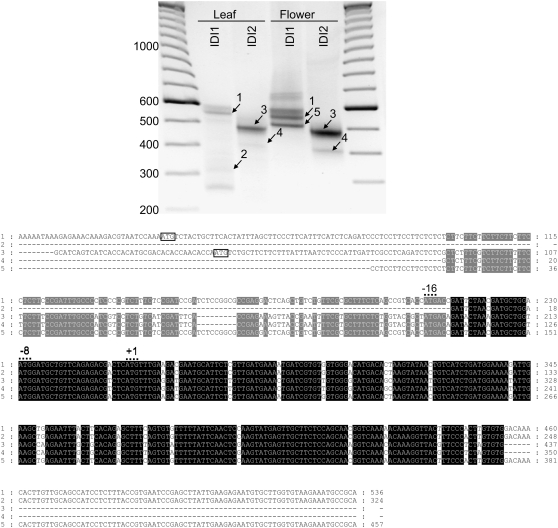 Figure 14.