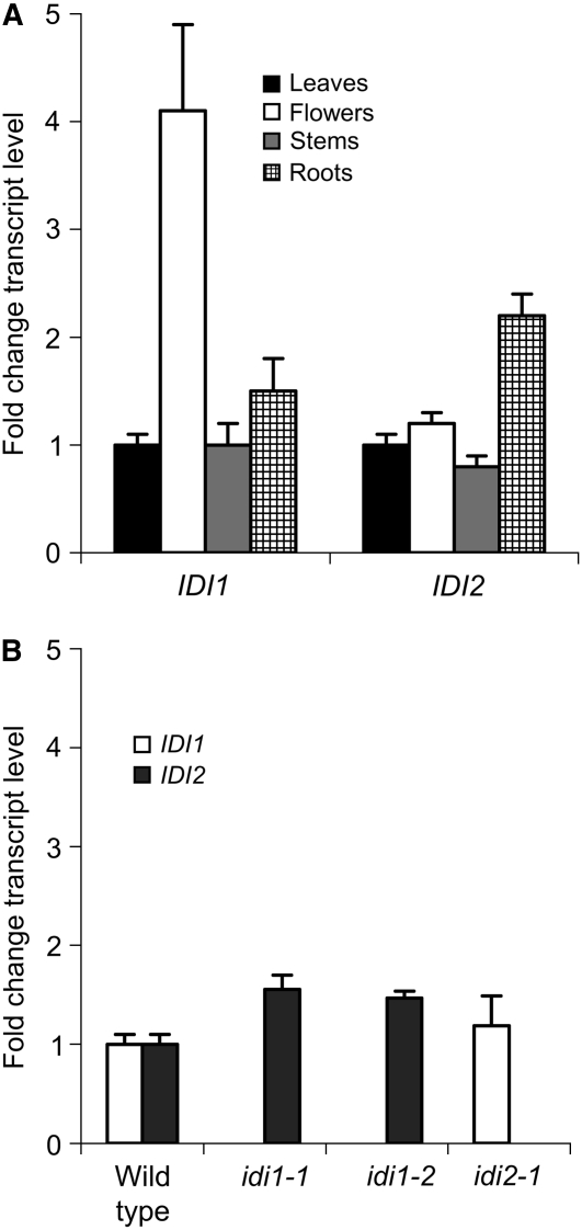 Figure 10.