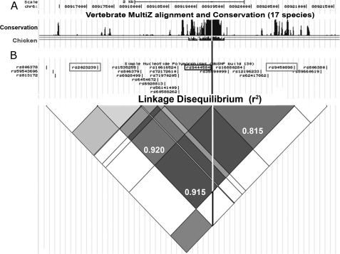 FIGURE 1.