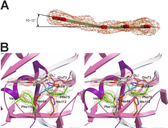 Fig. 3.