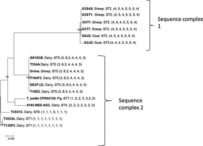 FIG 6