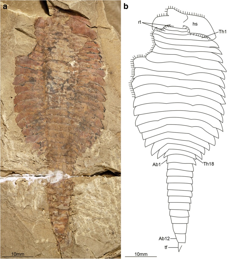 Fig. 10