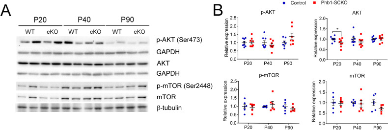 Figure 1—figure supplement 1.