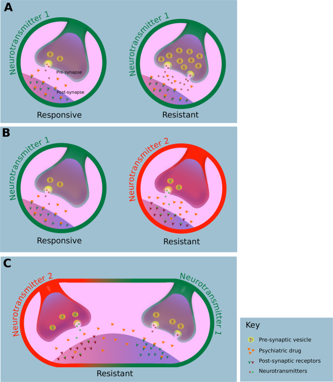 Fig. 5