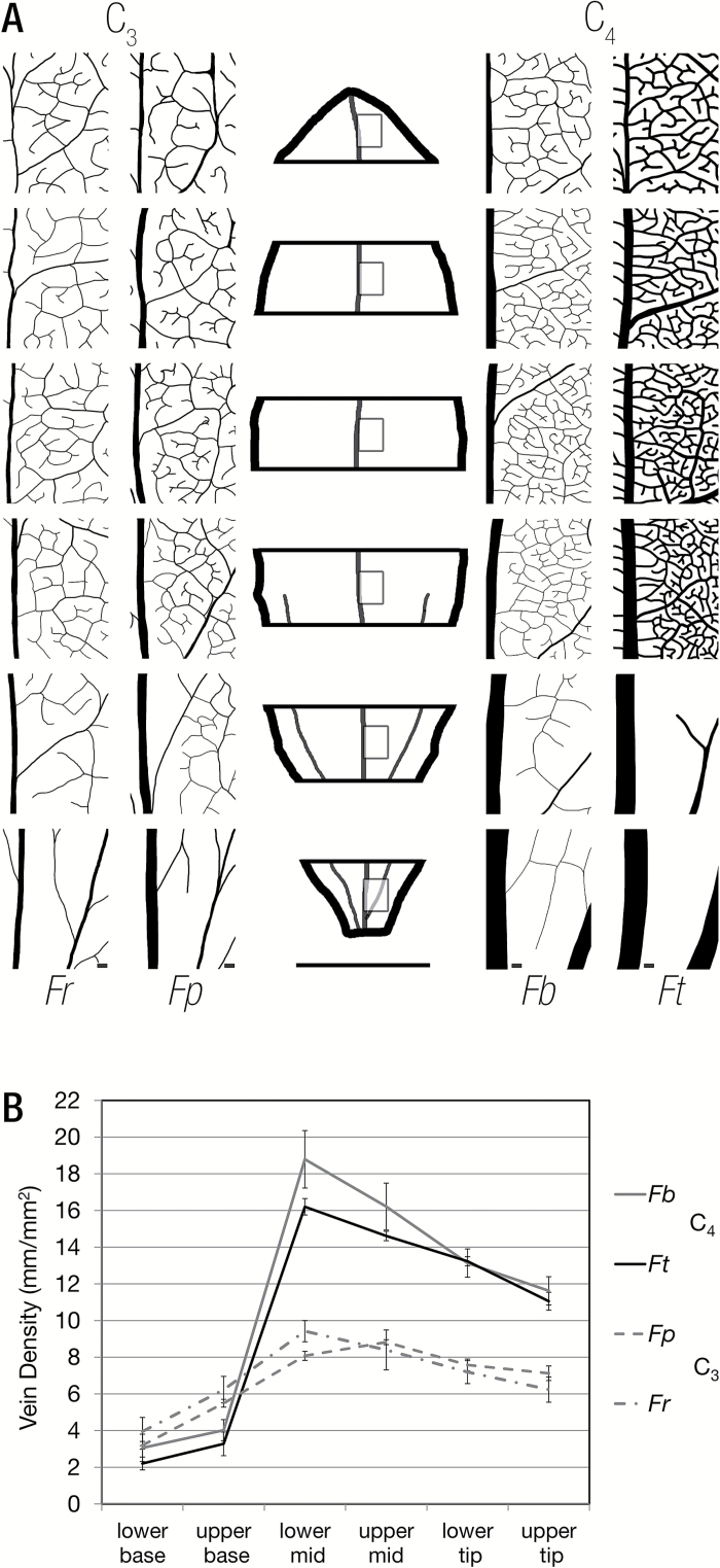 Fig. 5.