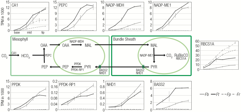 Fig. 3.