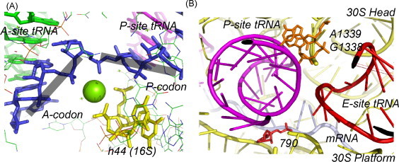 Fig. 4