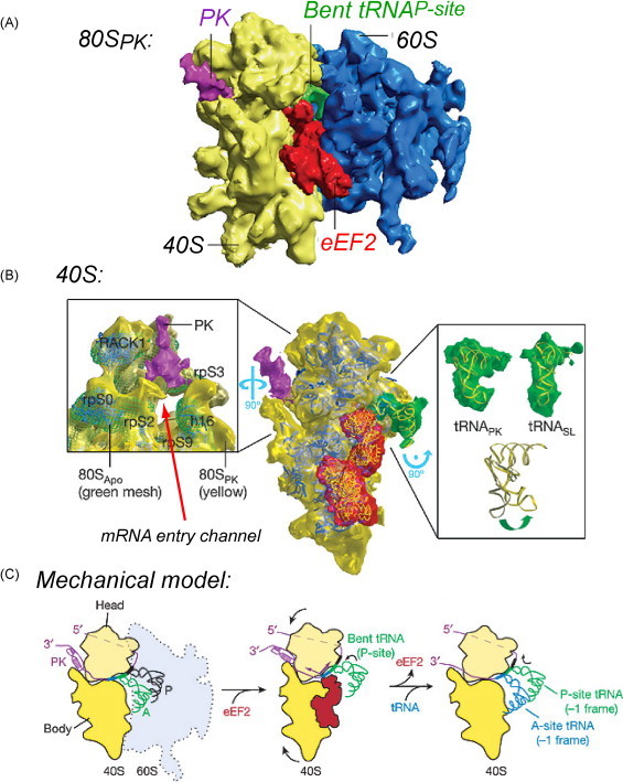 Fig. 6