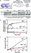 Fig. 6.