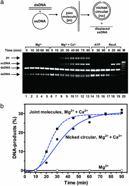 Fig. 4.