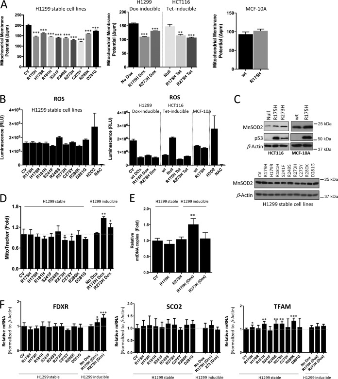 FIG 6