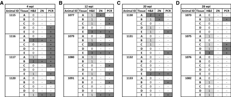 Figure 2