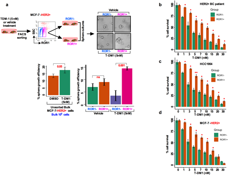 Supplementary Fig. S3