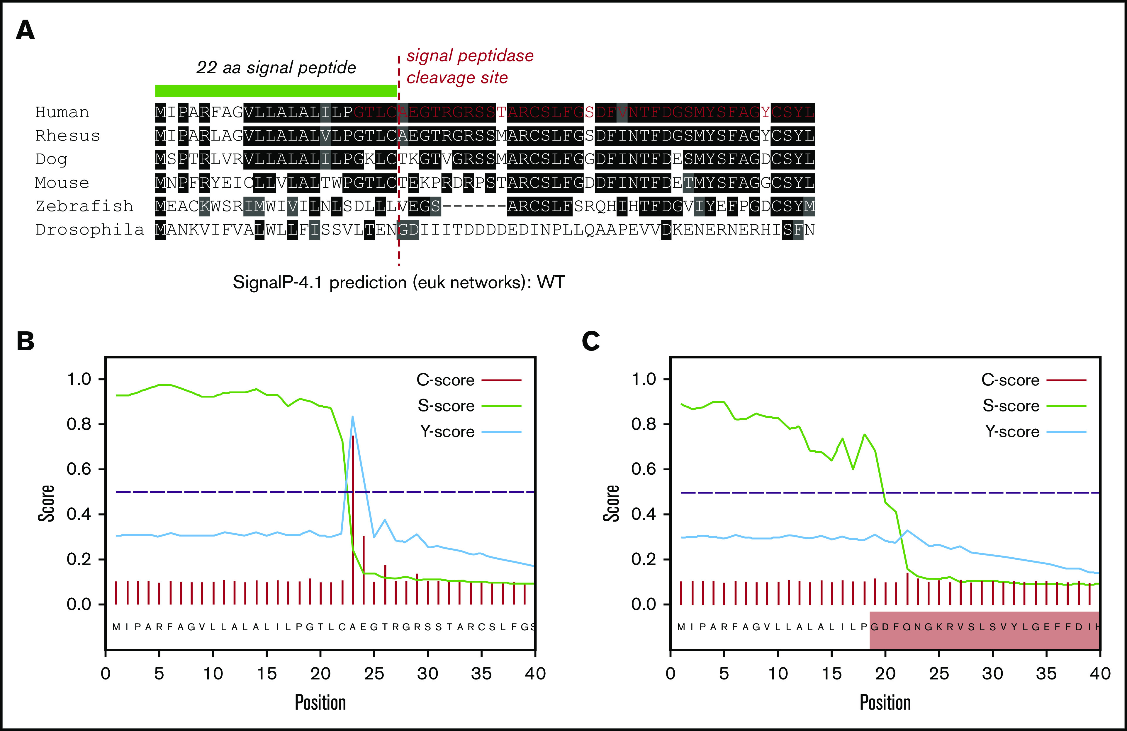 Figure 6.