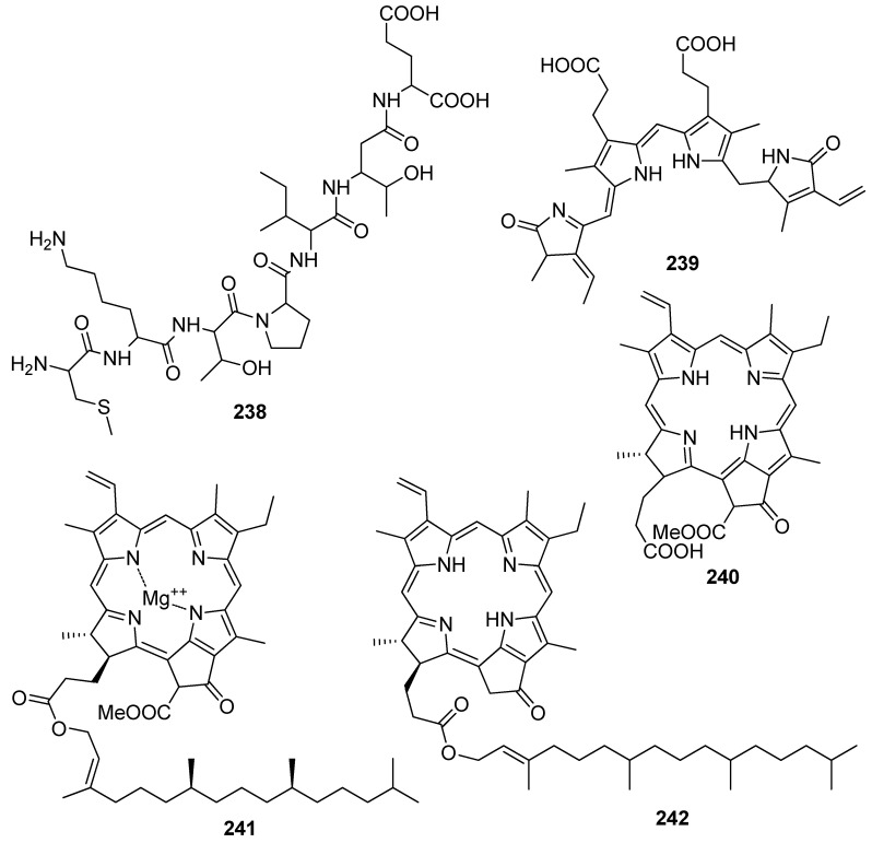 Figure 21