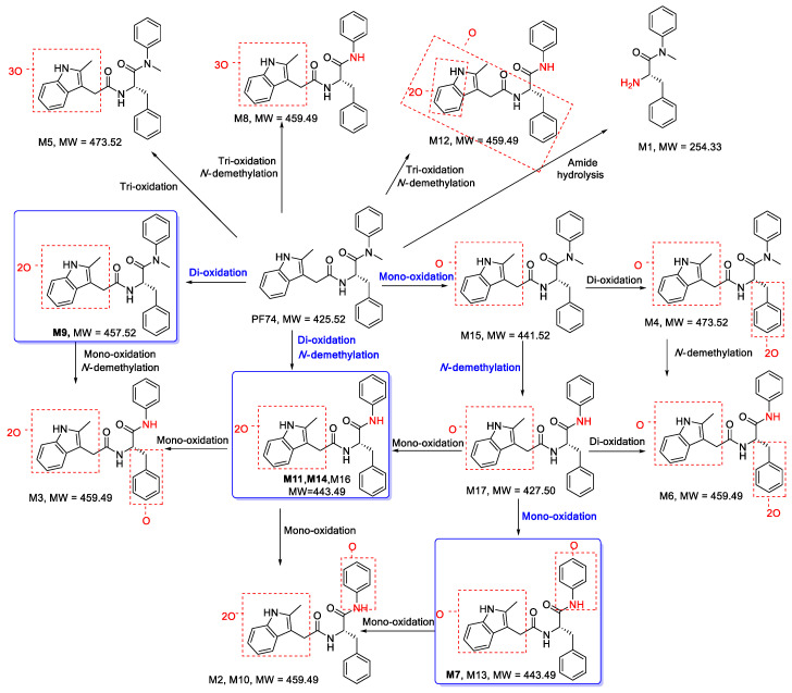 Figure 5