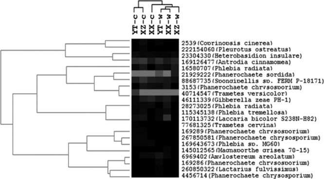 Fig 7